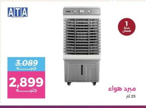 available at رنين in Egypt - القاهرة