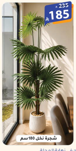 available at الهدايا سنتر in مملكة العربية السعودية, السعودية, سعودية - الطائف
