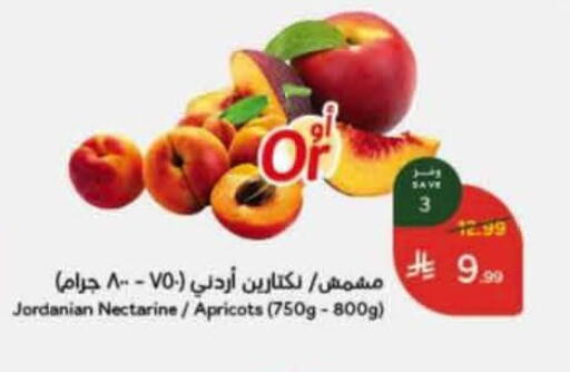 Nectarine from Jordan available at Hyper Panda in KSA, Saudi Arabia, Saudi - Hail