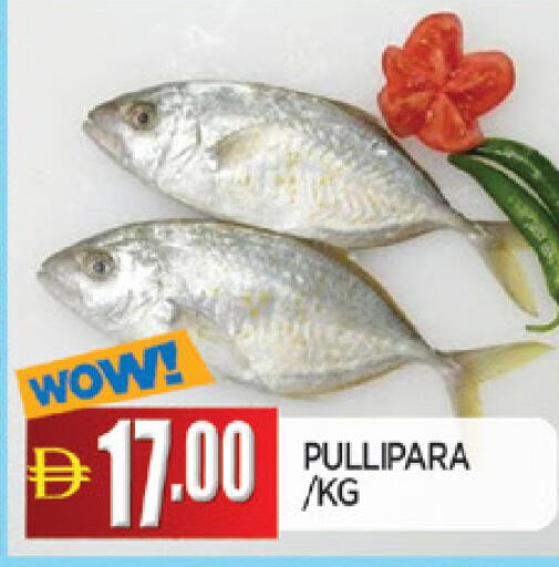 available at AL MADINA in UAE - Sharjah / Ajman