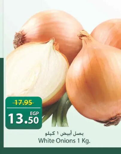 available at Spinneys  in Egypt - Cairo