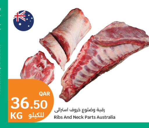 available at سيتي هايبرماركت in قطر - الشمال