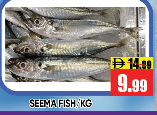 available at ليبتس هايبرماركت in الإمارات العربية المتحدة , الامارات - رَأْس ٱلْخَيْمَة
