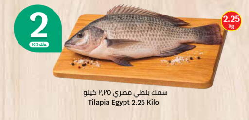 available at City Hypermarket in Kuwait - Kuwait City