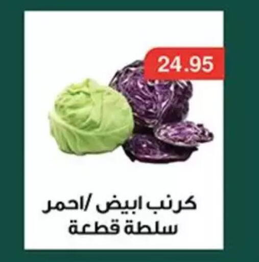 available at أبو صالح ألبان ماركت in Egypt - القاهرة