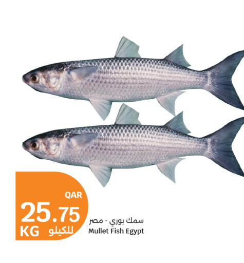 available at سيتي هايبرماركت in قطر - الدوحة