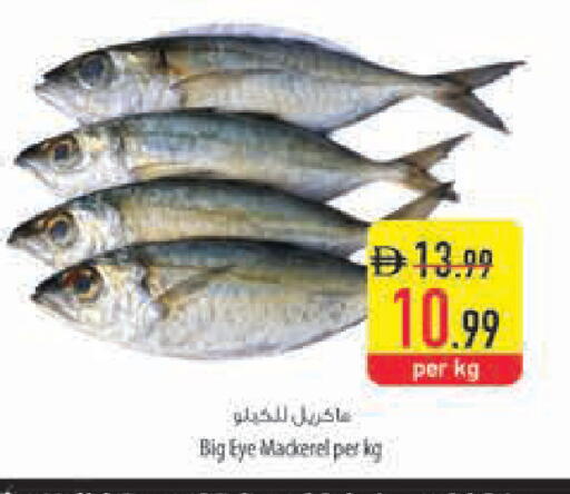 available at السفير ماركت in الإمارات العربية المتحدة , الامارات - ٱلْعَيْن‎