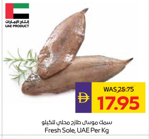 available at أدكووب in الإمارات العربية المتحدة , الامارات - أبو ظبي