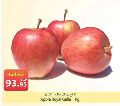 Apple available at Spinneys  in Egypt - Cairo