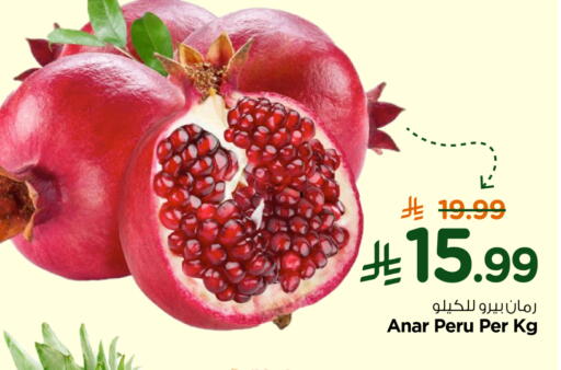 available at نستو in مملكة العربية السعودية, السعودية, سعودية - المجمعة