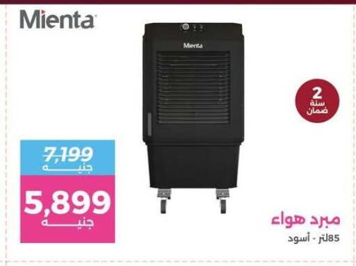 available at رنين in Egypt - القاهرة