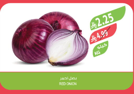 Onion available at المزرعة in مملكة العربية السعودية, السعودية, سعودية - حفر الباطن