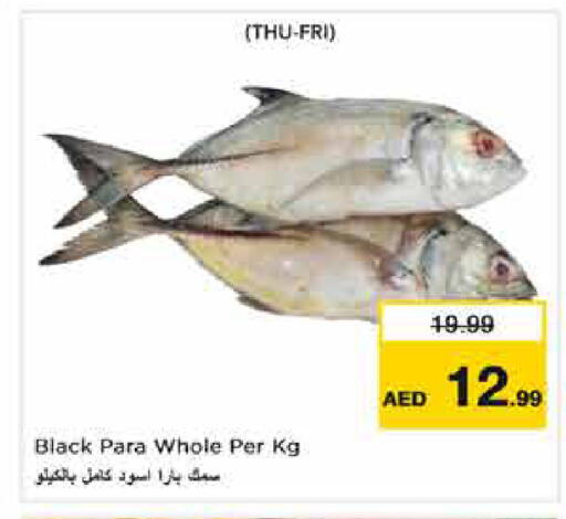 available at نستو هايبرماركت in الإمارات العربية المتحدة , الامارات - أبو ظبي