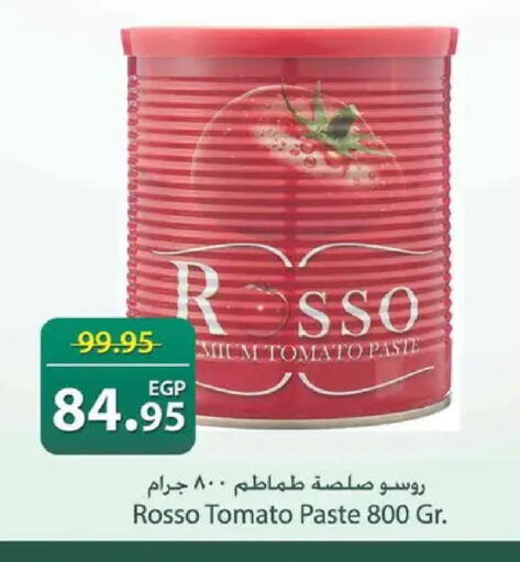 Tomato available at Spinneys  in Egypt - Cairo