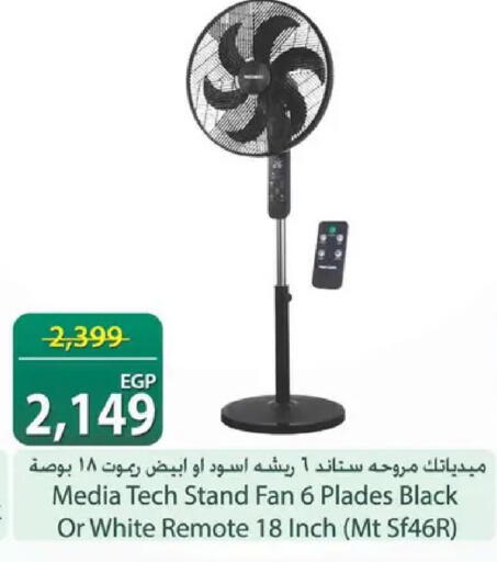 available at سبينس in Egypt - القاهرة