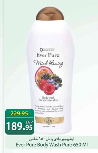 Blueberry BlueBerry available at Spinneys  in Egypt - Cairo