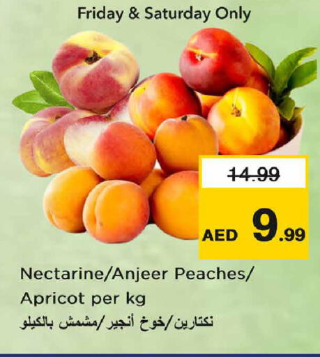 Nectarine Apricot available at Nesto Hypermarket in UAE - Dubai