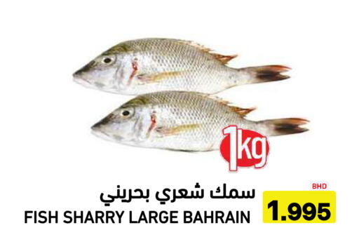 available at أسواق رامز in مملكة العربية السعودية, السعودية, سعودية - تبوك