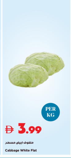 Cabbage available at Trolleys Supermarket in UAE - Sharjah / Ajman