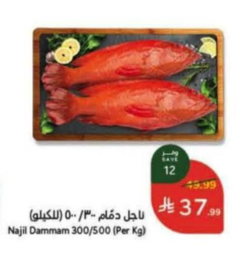 available at هايبر بنده in مملكة العربية السعودية, السعودية, سعودية - أبها