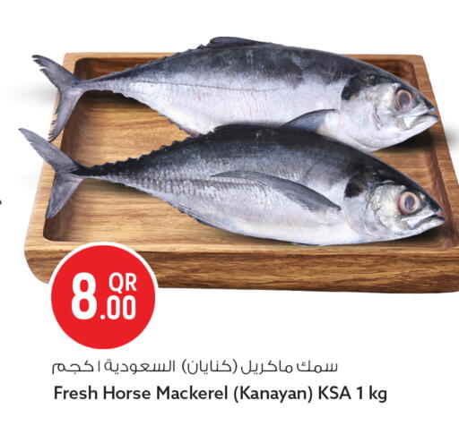available at سفاري هايبر ماركت in قطر - الدوحة