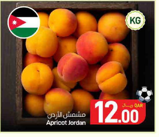 Apricot from Jordan available at ســبــار in قطر - الوكرة