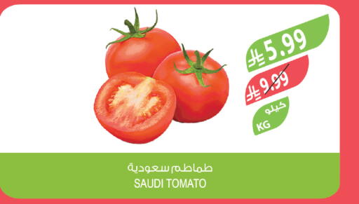 Tomato from Saudi Arabia available at Farm  in KSA, Saudi Arabia, Saudi - Riyadh