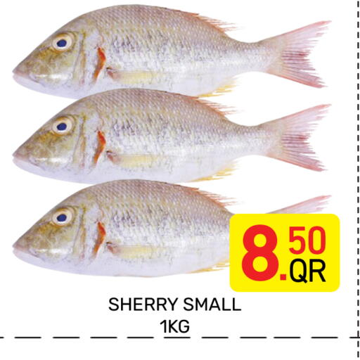 available at مجلس هايبرماركت in قطر - الريان