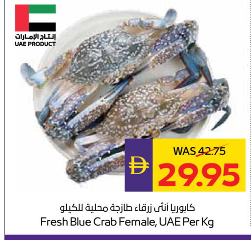 available at أدكووب in الإمارات العربية المتحدة , الامارات - أبو ظبي