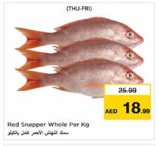 available at نستو هايبرماركت in الإمارات العربية المتحدة , الامارات - أبو ظبي