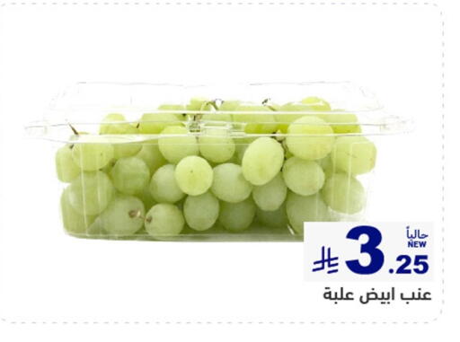 available at أسواق رامز in مملكة العربية السعودية, السعودية, سعودية - حفر الباطن