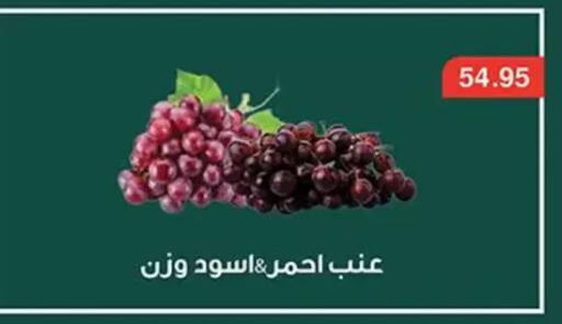 available at أبو صالح ألبان ماركت in Egypt - القاهرة