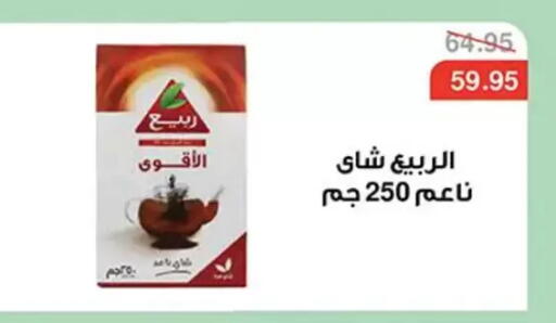 available at Abu Saleh Dairy Market in Egypt - Cairo