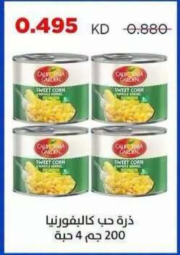 available at Sabah Al Salem Co op in Kuwait - Ahmadi Governorate