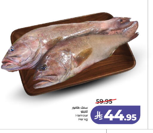 available at لولو هايبرماركت in مملكة العربية السعودية, السعودية, سعودية - جدة