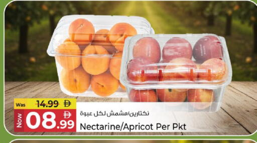 Nectarine Apricot available at كنز هايبرماركت in الإمارات العربية المتحدة , الامارات - الشارقة / عجمان