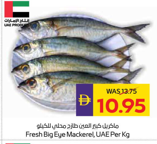 available at أدكووب in الإمارات العربية المتحدة , الامارات - أبو ظبي