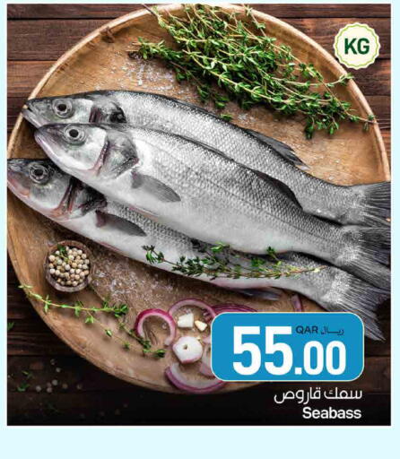 available at ســبــار in قطر - الوكرة