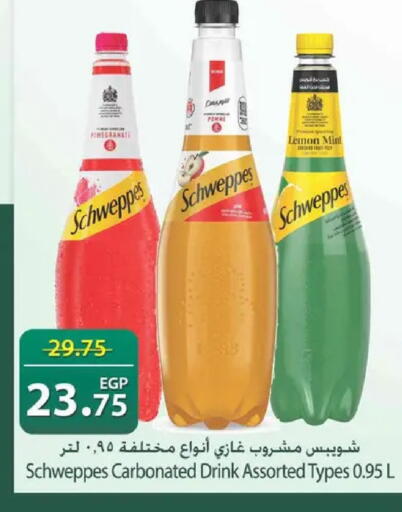 Pomegranate Lemon Mint available at Spinneys  in Egypt - Cairo