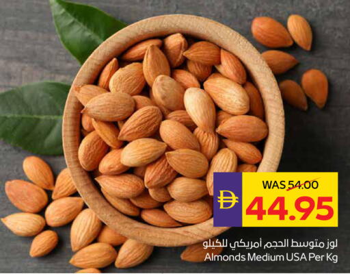 available at أدكووب in الإمارات العربية المتحدة , الامارات - أبو ظبي