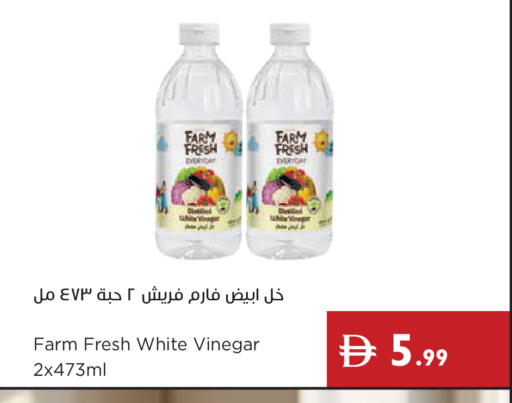 available at إسطنبول سوبرماركت in الإمارات العربية المتحدة , الامارات - دبي