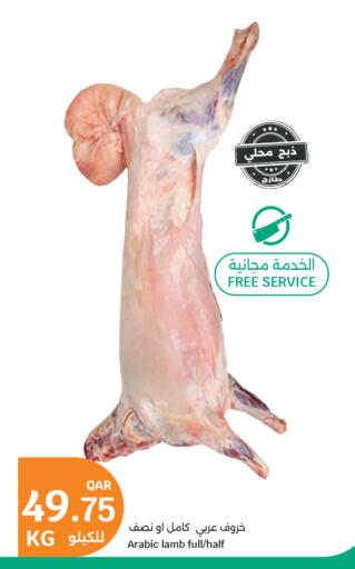 available at سيتي هايبرماركت in قطر - الشمال