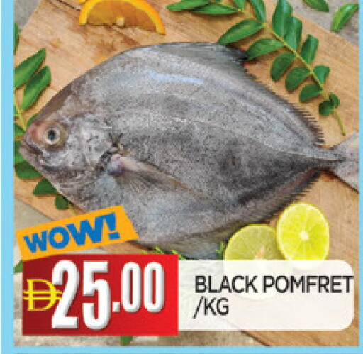 available at AL MADINA in UAE - Sharjah / Ajman