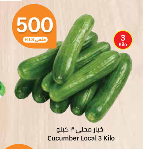 Cucumber available at City Hypermarket in Kuwait - Ahmadi Governorate