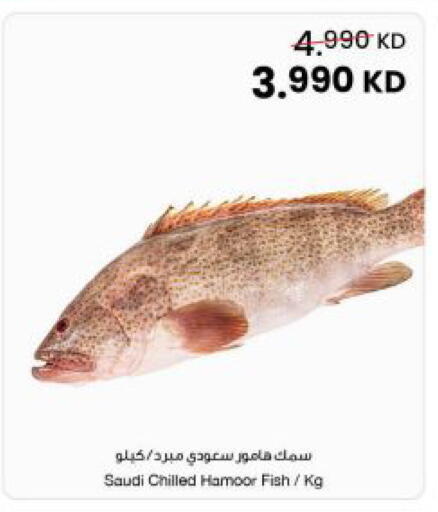 available at The Sultan Center in Kuwait - Kuwait City
