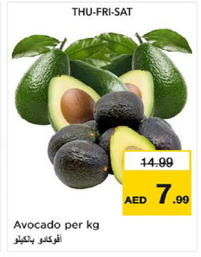 Avocado available at نستو هايبرماركت in الإمارات العربية المتحدة , الامارات - أم القيوين‎
