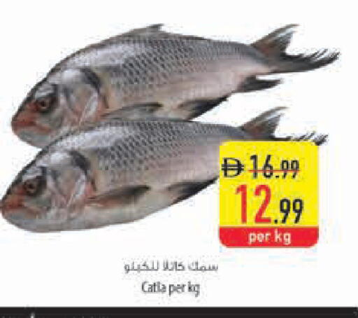 available at السفير ماركت in الإمارات العربية المتحدة , الامارات - ٱلْعَيْن‎