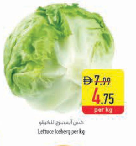 Lettuce available at السفير ماركت in الإمارات العربية المتحدة , الامارات - ٱلْعَيْن‎