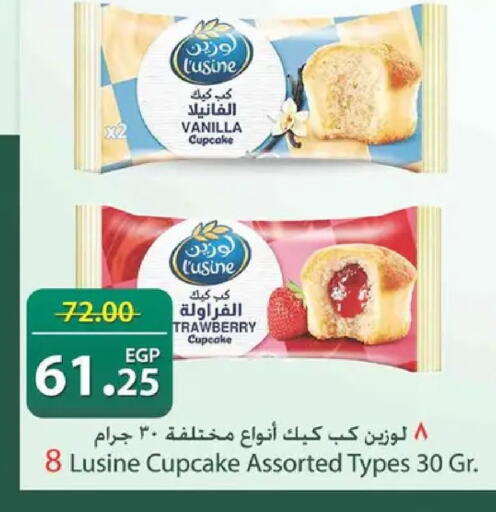 Vanilla available at Spinneys  in Egypt - Cairo