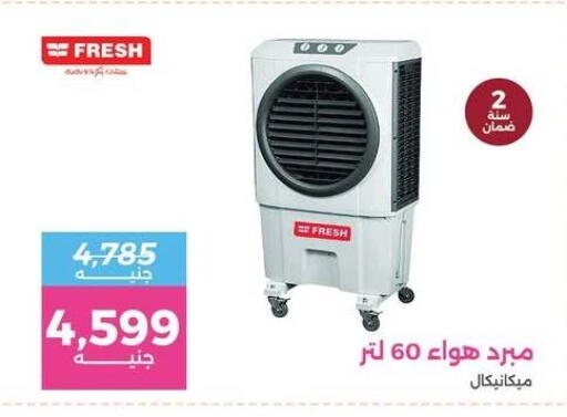 available at رنين in Egypt - القاهرة
